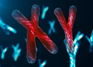 بیماری آنیوپلوئیدی و انواع آن